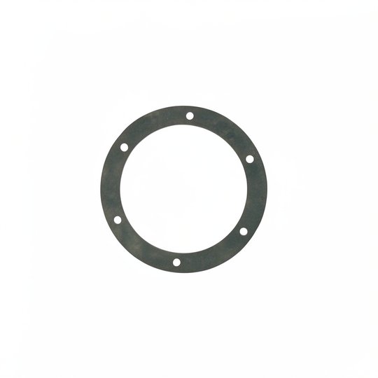 Joints de bride BR 2" 3318-3319 (x2) - COFIES