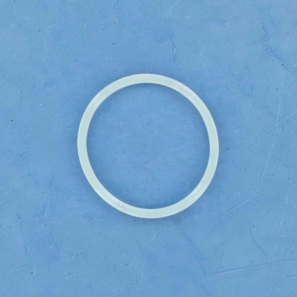 Joint torique couvercle Filtre Aster, Rapid-Pool, UVE
