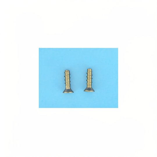 Vis grille BDF SP1048/1049/1051/1052/1054 (x2)