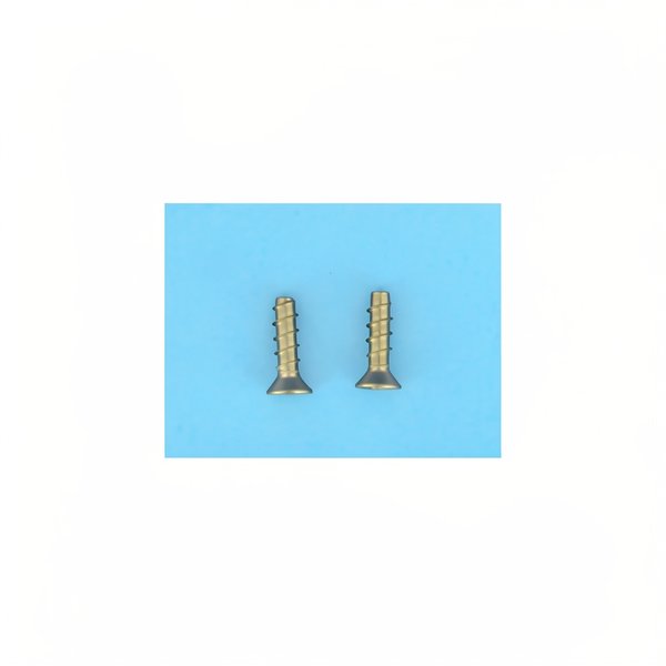 Vis grille BDF SP1048/1049/1051/1052/1054 (x2)