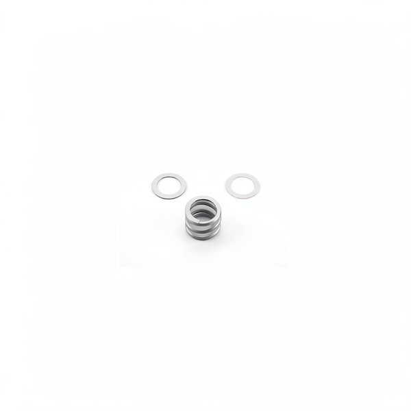 Ressort + rondelles de vanne NM 1"1/2 - 2"