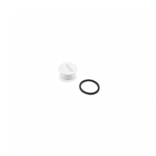 Bouchon 2" SK + joint