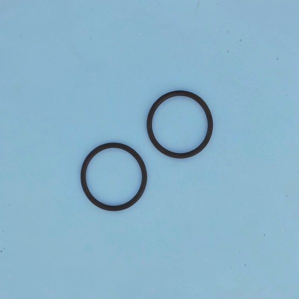 Joints de liaison de vanne (x2) FILTRE SAB Jupiter
