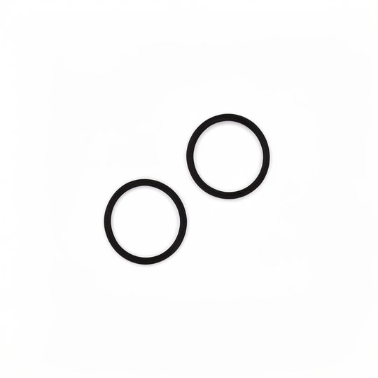 Joints de liaison de vanne (x2) FILTRE SAB Jupiter