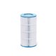 Cartouche Waterway Pool 100, Leisure Bay WW-100 C-9402