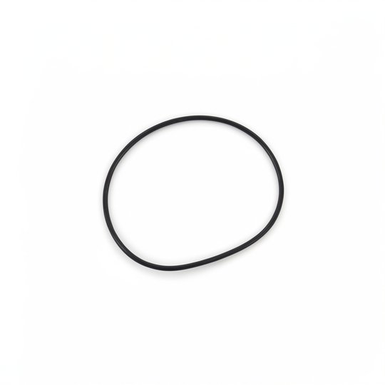 Joint de cuve Filtre Posi-Clear PXC75/95/125/150