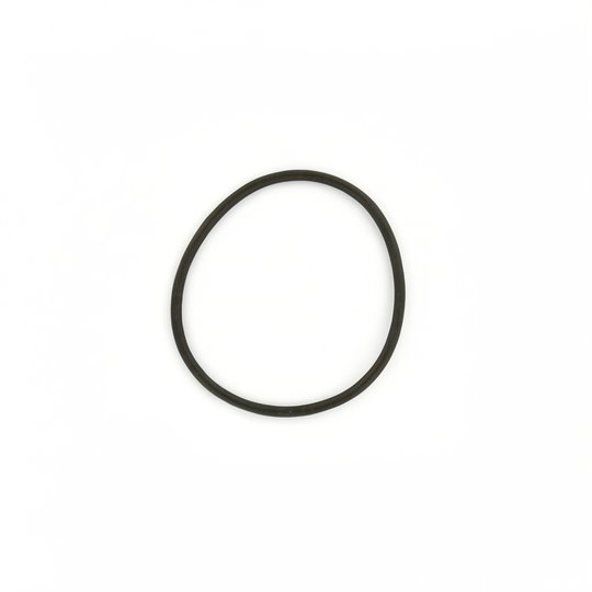 Joint de couvercle 152x7 mm PPE Europa, Glass Plus, Starplus, Superplus, Malawi, Proline, Swimflo HGS