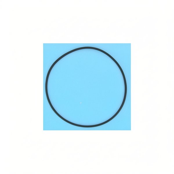 Joint torique de vanne 1"1/2 132,7x3,4 pour E-26-1069, E-26-1070