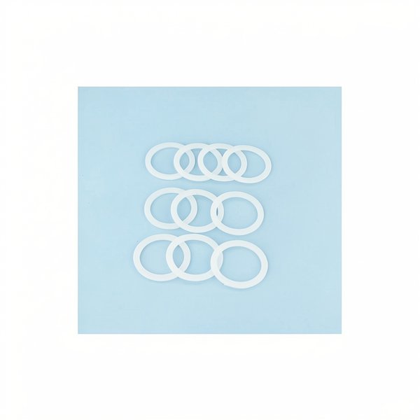 Rondelles de vanne (x10)