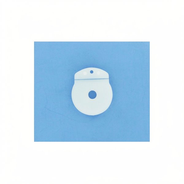 Clapet anti-retour (soupape) PPE BR 463/65E