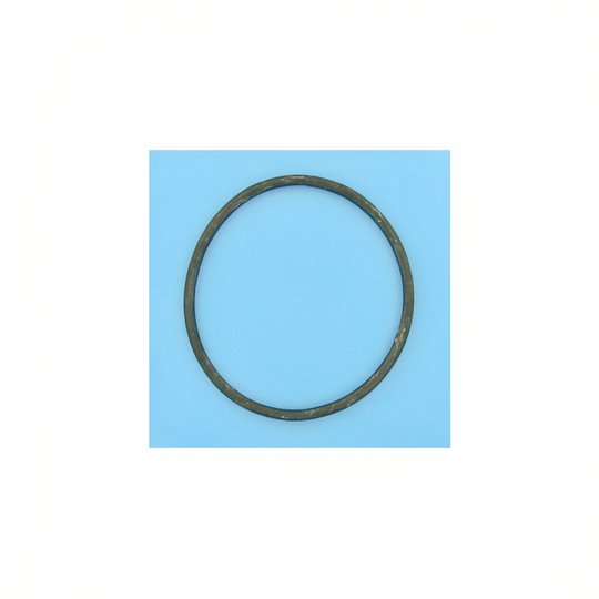 Joint de couvercle préfiltre PPE 145,4x6,69 Flipper NS/1S