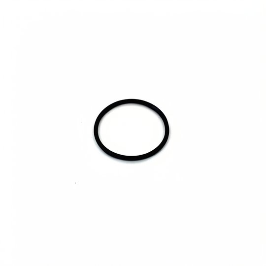 O-ring, union