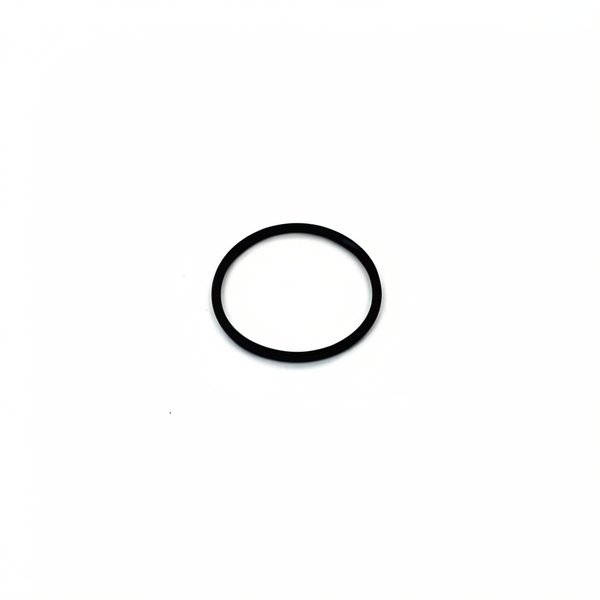 O-ring, union