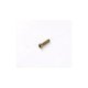 Vis fixation moteur pompe
