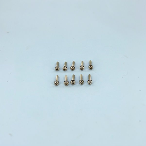 Vis + rondelles de corps de projecteur (X10)