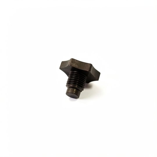 Bouchon de purge 1/4" avec joint Filtre SAB Lisboa - FS074065008A