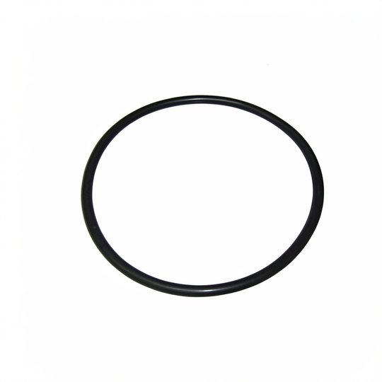 Joint torique Viton 210x9 mm pour doseur Clorimax 40L et 60L