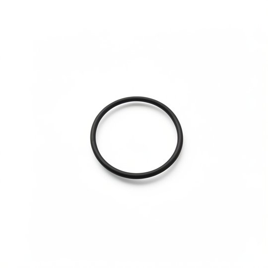 Joint de diffuseur PPE Bering 0,50 à 0,75 CV