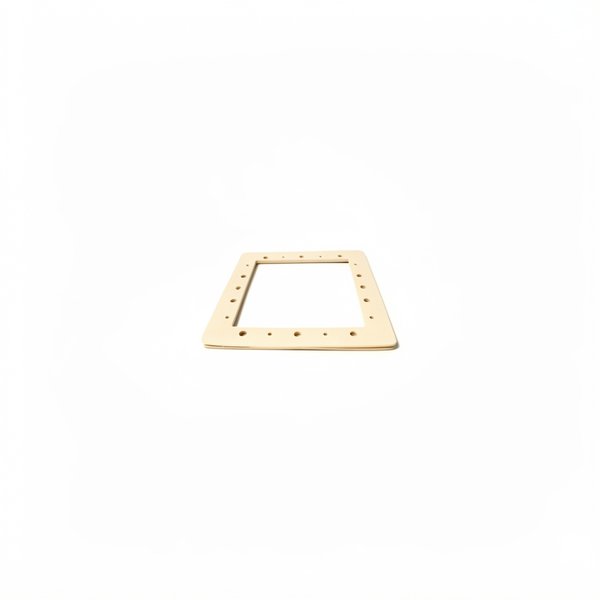 Joint Double skimmer Blanc AR125