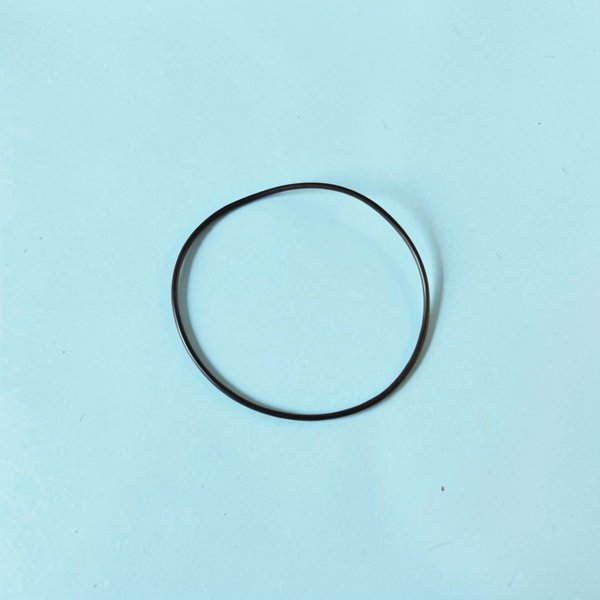 Joint de couvercle de vanne (SM 10) - 1"1/2 (ex 05.0041)