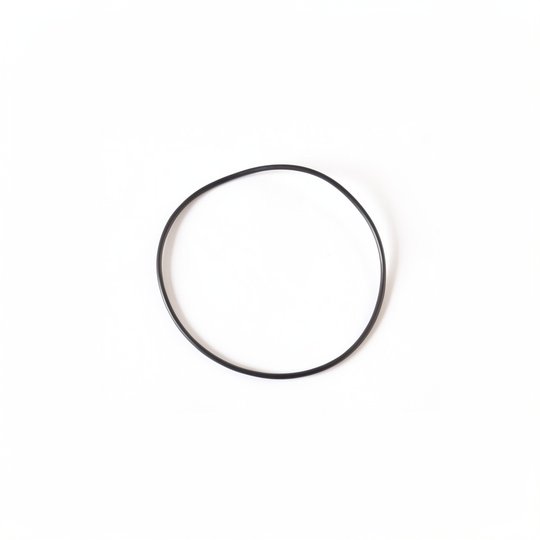 Joint de couvercle de vanne (SM 10) - 1"1/2 (ex 05.0041)