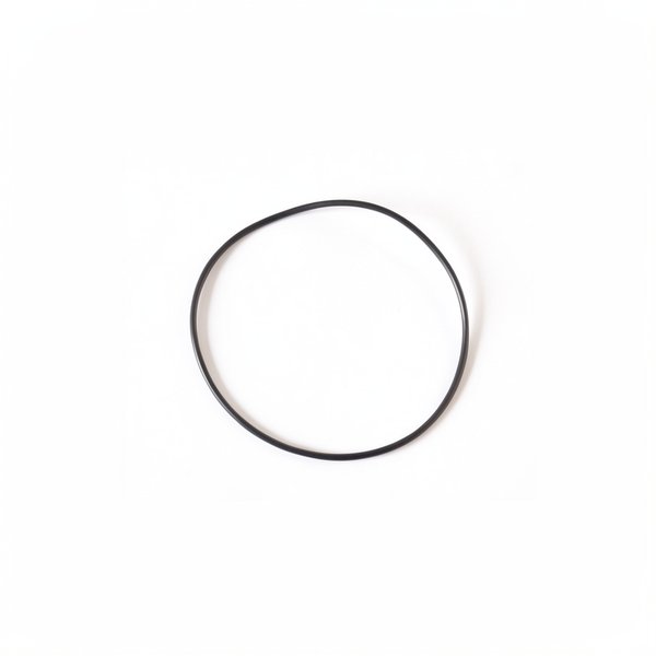 Joint de couvercle de vanne (SM 10) - 1"1/2 (ex 05.0041)