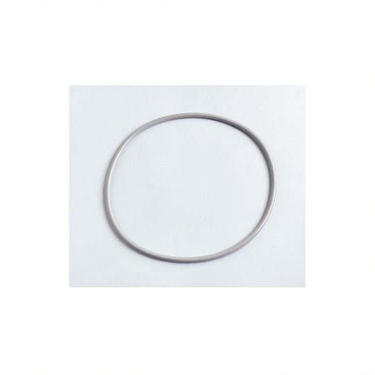 Joint de couvercle NM gris épais pour FSAB Triton NM, Clear Pro, Tagelus 8"1/2