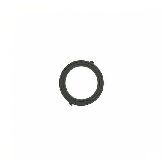 Joint de traversée 2" plat FILTRE DE FNS (H-19-4893)