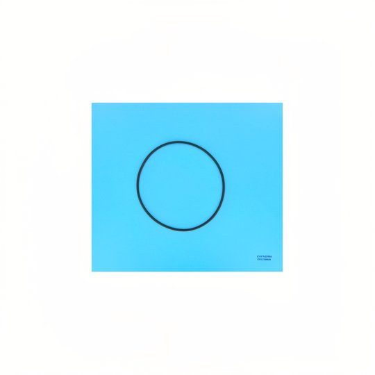 Joint torique couvercle 6" Filtre Top Titan/Galatic