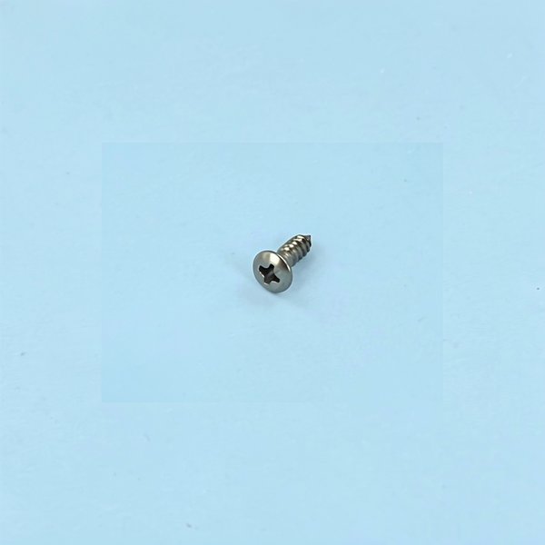 Vis PROJ (4 8x16) Din7982