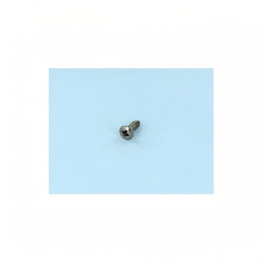 Vis PROJ (4 8x16) Din7982
