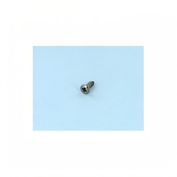 Vis PROJ (4 8x16) Din7982