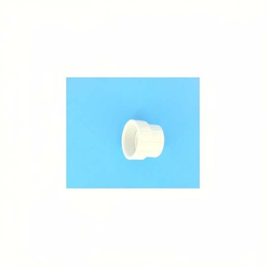 Raccord de tuyau femelle (65/65T/165/165T) - 6-104-00