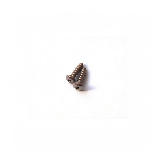 Vis 19 mm (3/4in) pour Polaris 65/65T/165/165T, sachet de 2 unités - 6-302-00