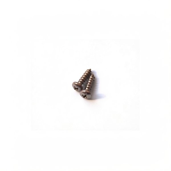 Vis 19 mm (3/4in) pour Polaris 65/65T/165/165T, sachet de 2 unités - 6-302-00