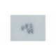 Vis pour cache turbine A-40/C110 (180/Vs) - A-30 (x5)