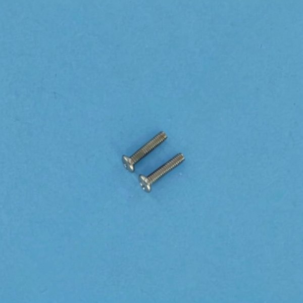 Vis Ss10-32X7/8 Pan M/S (x2)