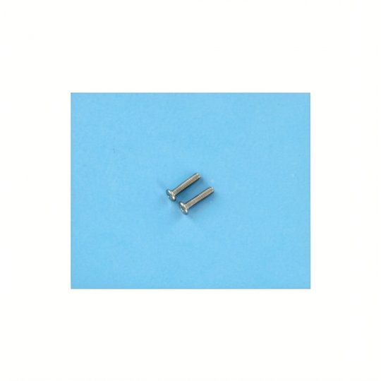 Vis Ss10-32X7/8 Pan M/S (x2)