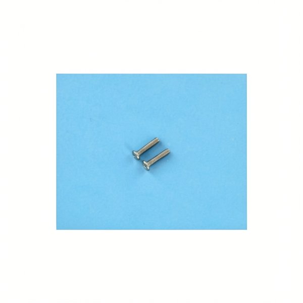 Vis Ss10-32X7/8 Pan M/S (x2)