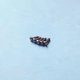 Vis 4x12 mm (x5)