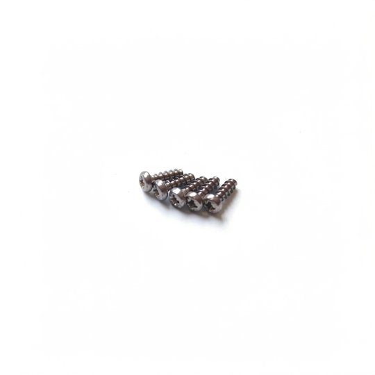 Vis 4x12 mm (x5)