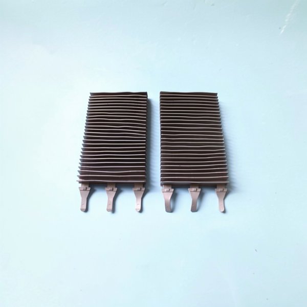 Brosse type 2 R9022 (x2)