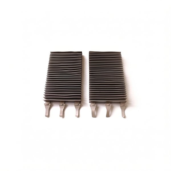 Brosse type 2 R9022 (x2)