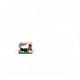 Carte ventilateur Z900 TD50