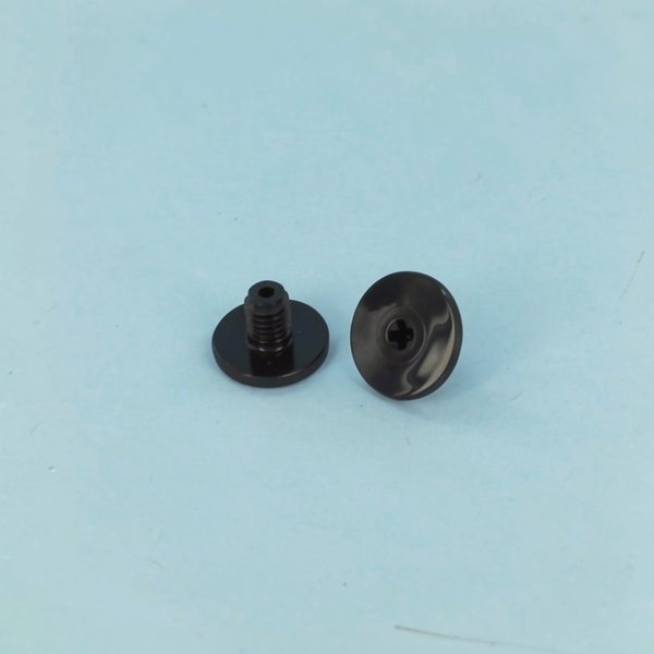 Vis de maintien noires (x2) Quattro