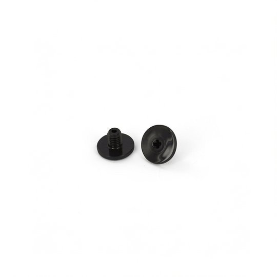 Vis de maintien noires (x2) Quattro