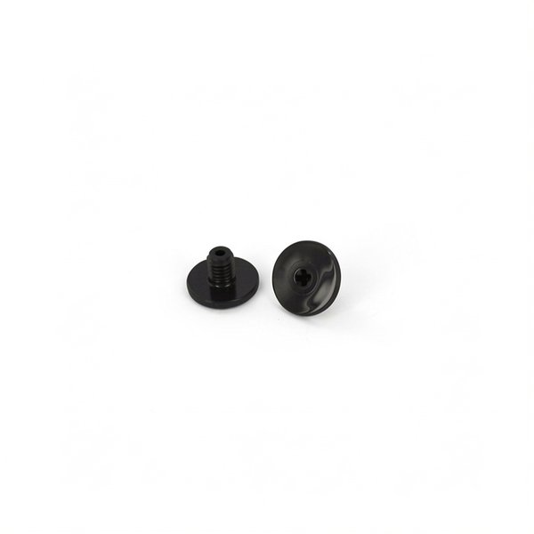 Vis de maintien noires (x2) Quattro