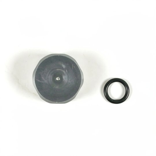 Bouchon de sonde pH/ORP pour porte-sondes Idegis R-127 - CE08040067