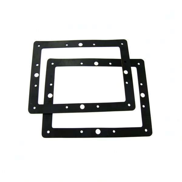 Joints de bride pour skimmer PM (x2)