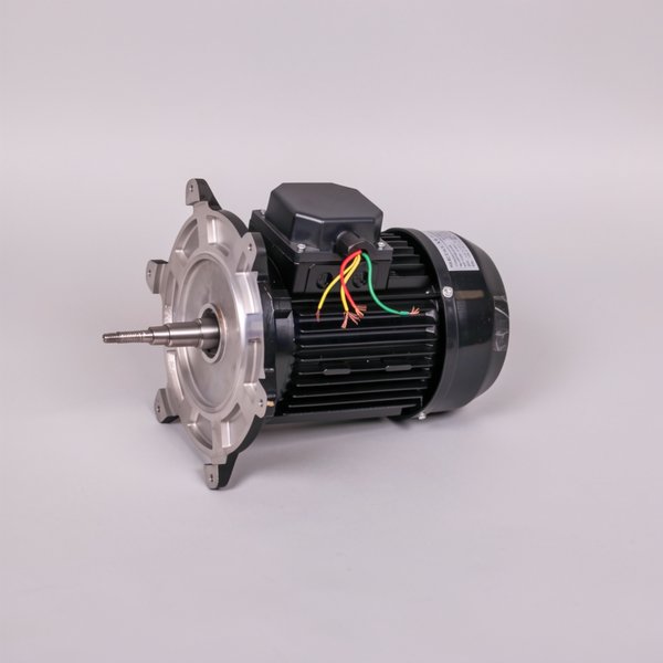 Moteur PPE Victoria Plus Silent 2 CV Tri